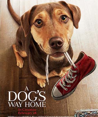 movie-poster-a dogs way home